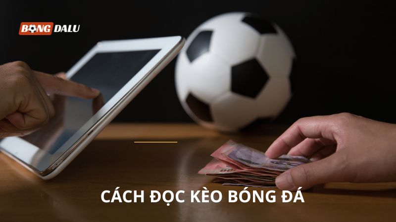 Cách đọc kèo bóng đá chuẩn chỉ