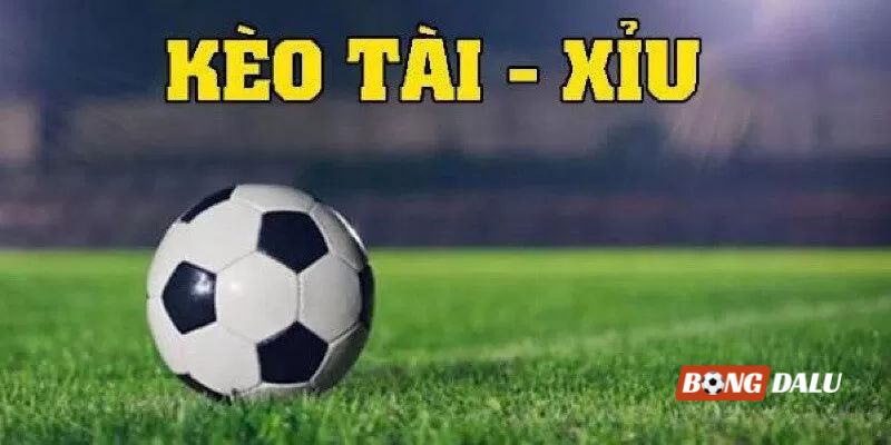 Cần làm gì để luôn luôn ăn kèo cá độ bóng đá