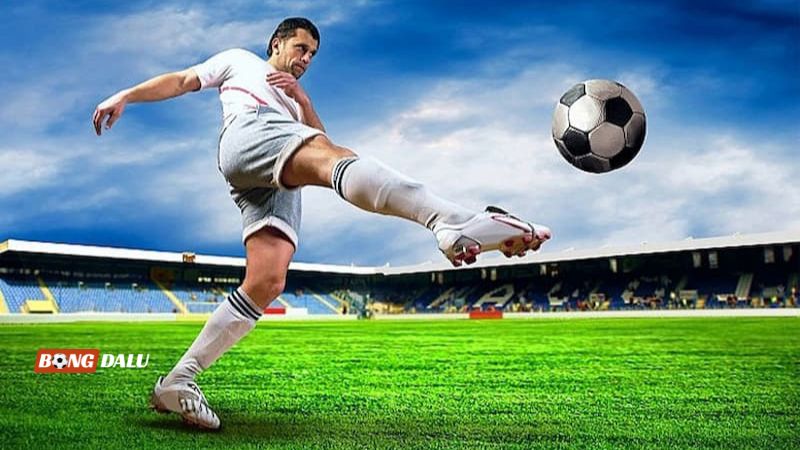Cập nhật đội hình dự kiến Cập nhật đội hình dự kiến