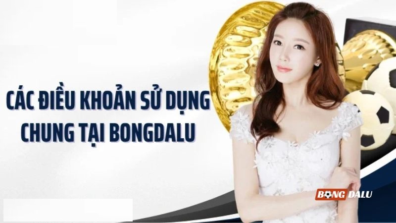Khám phá các quy định quan trọng trong chính sách điều khoản sử dụng