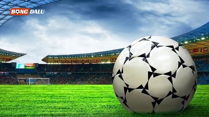 Trang kênh mang đến hệ sinh thái dữ liệu bóng đá toàn diện